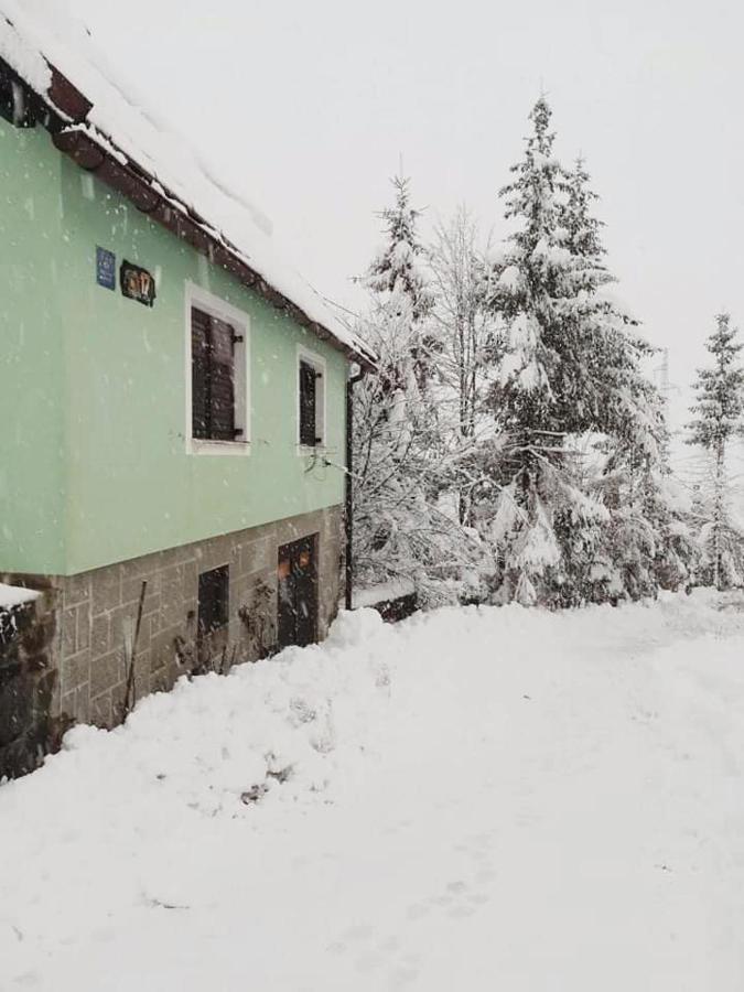 Forest Chalet Zalesina Kültér fotó