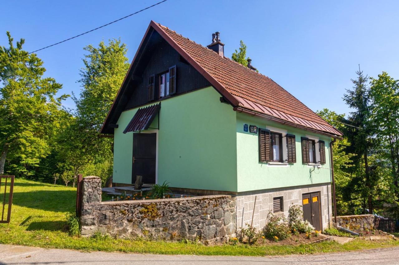 Forest Chalet Zalesina Kültér fotó