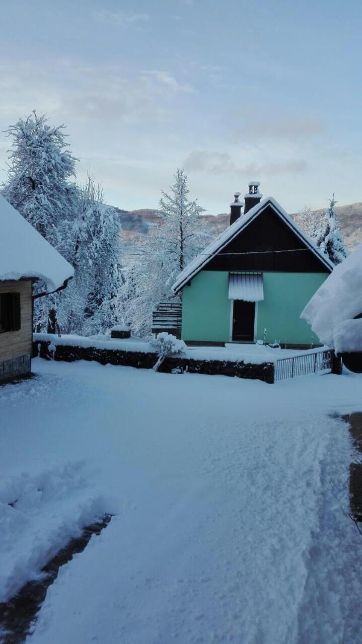 Forest Chalet Zalesina Kültér fotó